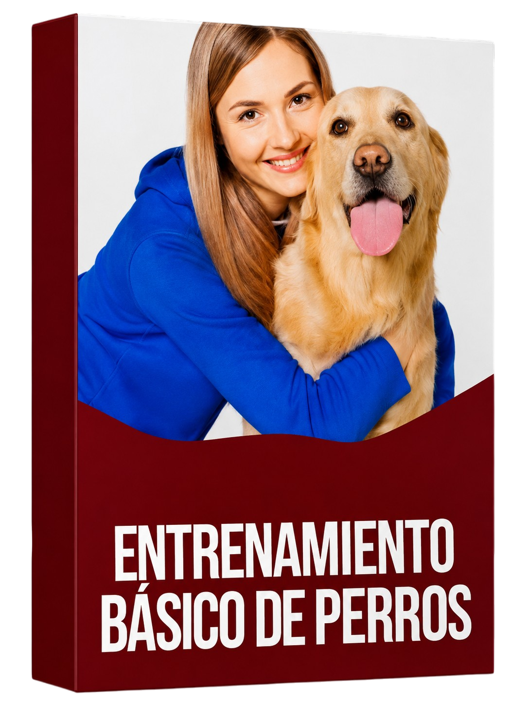 Entrenamiento básico de perros