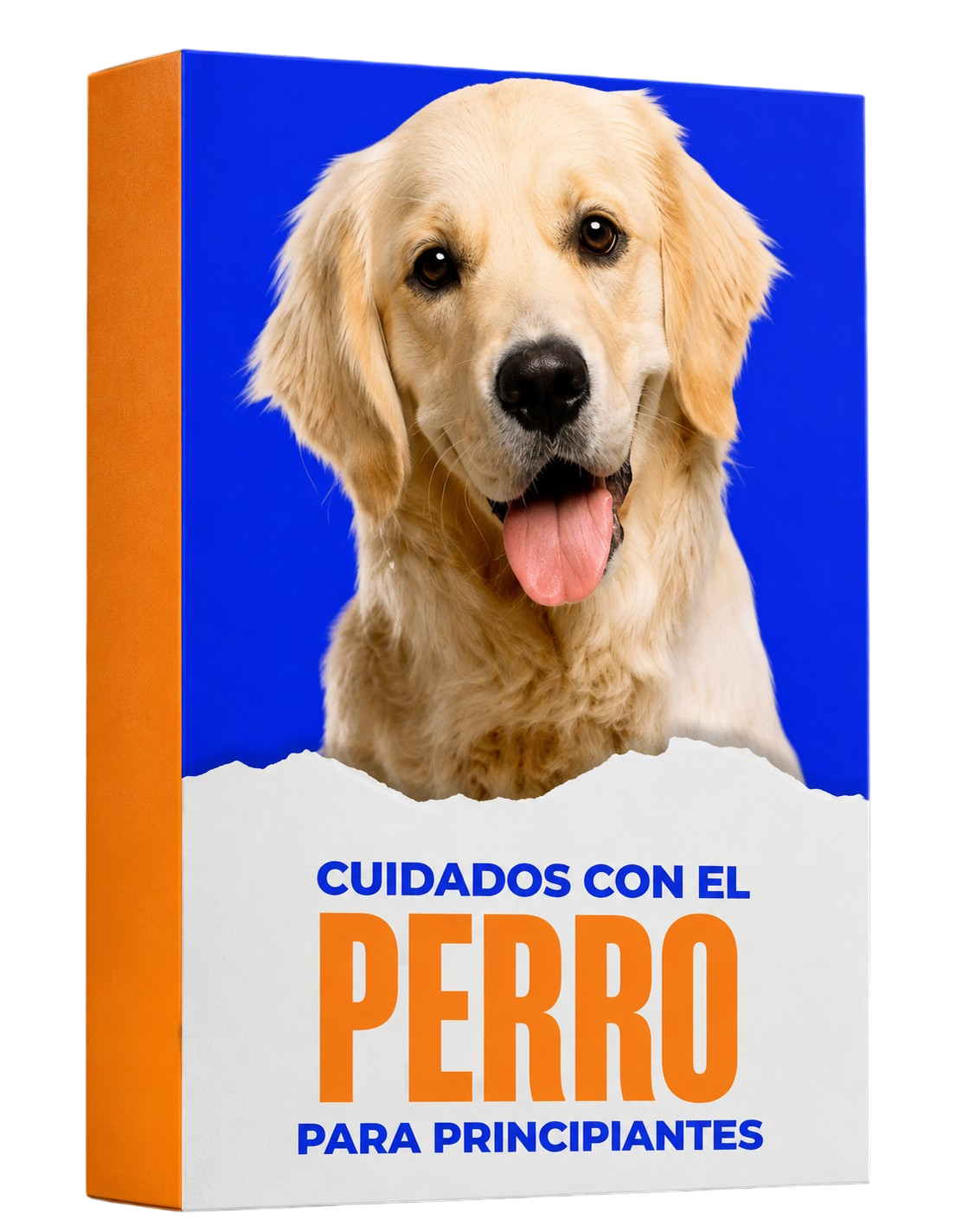 Cuidados de un perro para principiantes