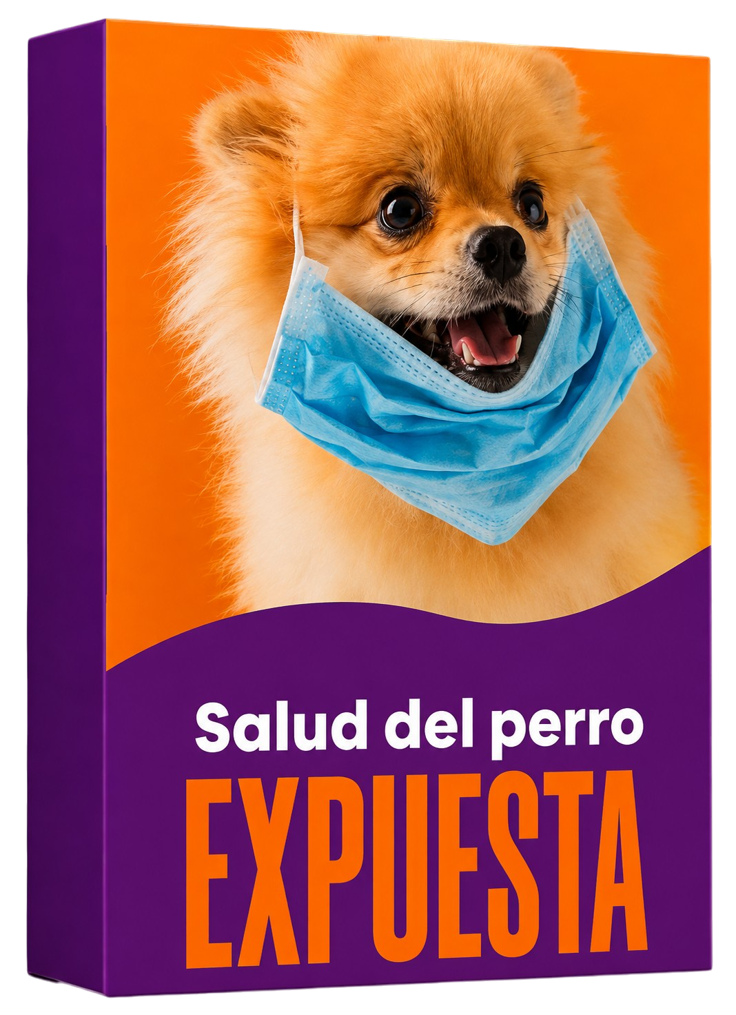 La salud del perro al descubierto